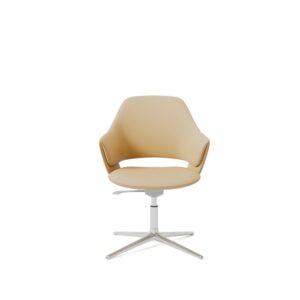 VEDA Conference Chair
